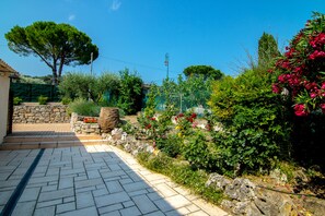 Rear Terrace and landscaped gardens.