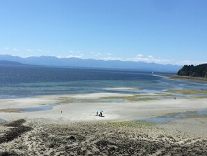 ビーチ