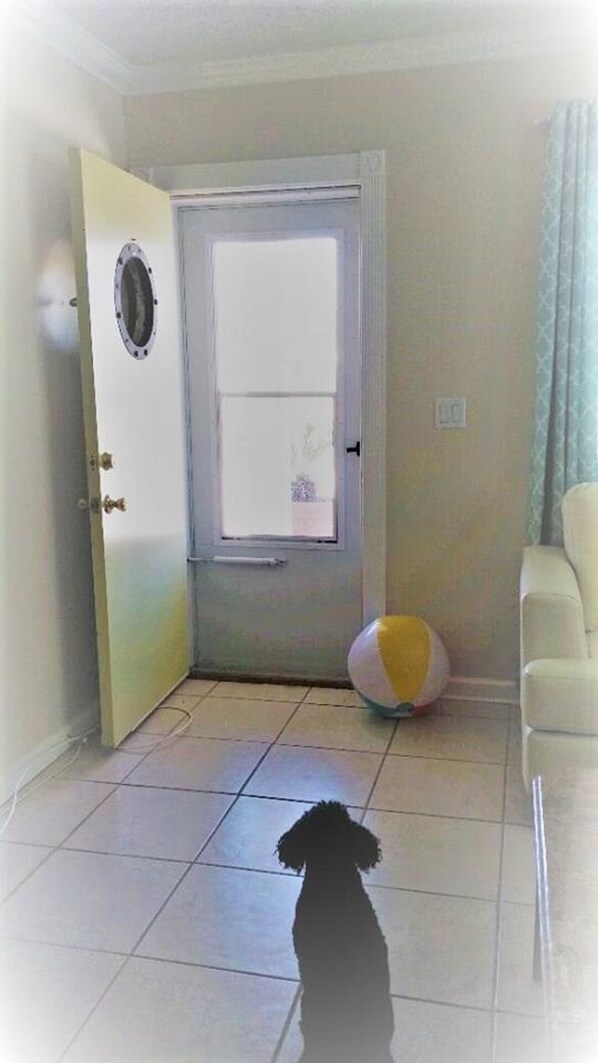 Well mannered dogs are welcome. Very clean here with tile throughout.