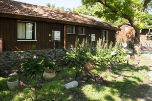Trädgård
