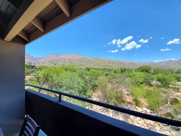 Patio View
