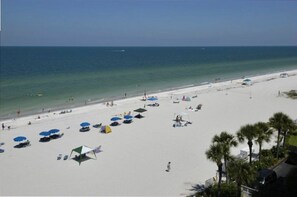 Panoramic Gulf View/Beach Umbrella & Chaise Rentals