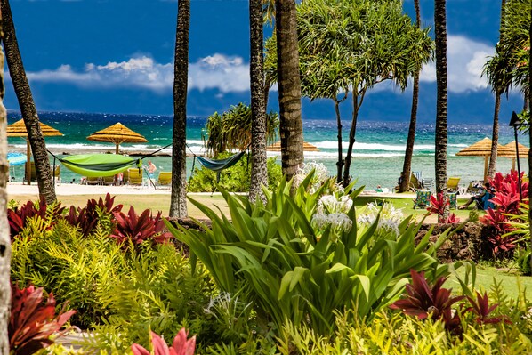 Ocean, beach and pool view lanai! - Watch the whales breach from the Main Villa's lanai with dining table, chaise lounge and end table!