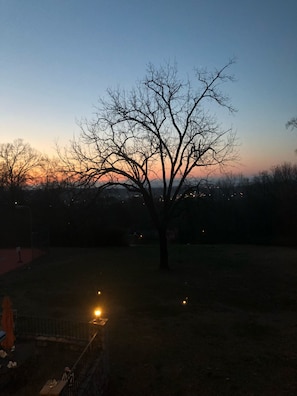 Beautiful sunsets and sunrises over our self-proclaimed walnut tree