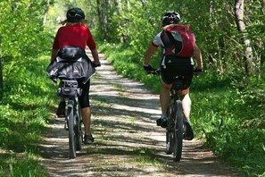 Schöne Ferienwohnung (2-4 Personen) + Hund im Oberharz
