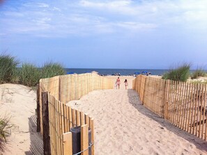 Strand