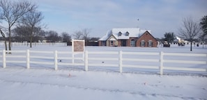 Feb 2021 Snow. So pretty!!