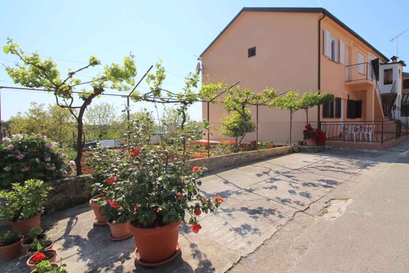external view