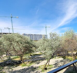 Vista cortile