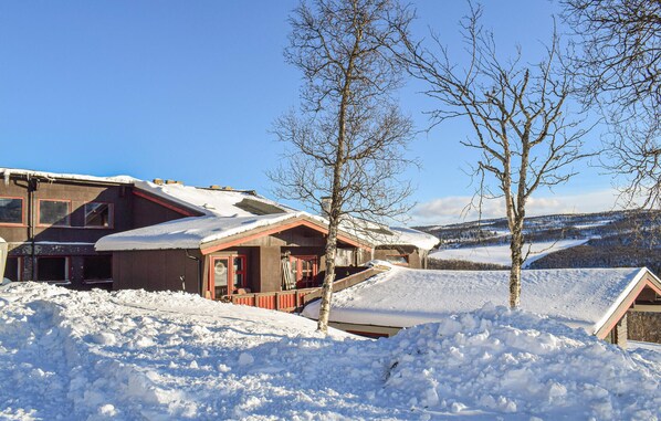Exteriör