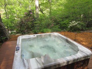 Hot tub with amazing native landscaping!