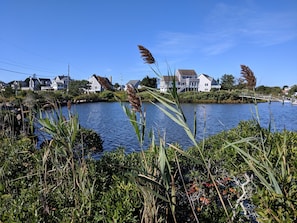 Green Hill Pond