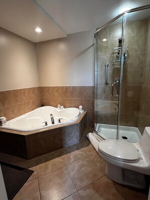 Master ensuite, with double jacuzzi and shower.