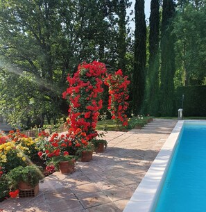 Wasser, Blume, Pflanze, Grün, Baum, Vegetation, Blütenblatt, Gras, Blumentopf, Landschaft