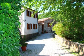external view