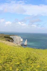 Country Lodge in Dorset. Der perfekte Ort für einen Urlaub mit Familie und Freunden