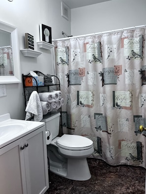 Downstairs bathroom