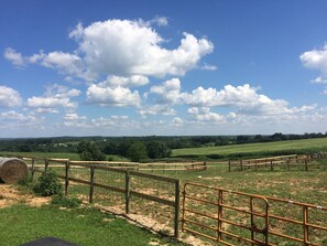 Cattle Lots