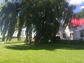 Enjoy a picnic under the Weeping Willow at the picnic table. 