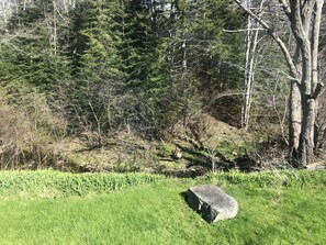 View of the Stream
