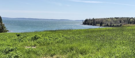 Duck Cove Mount Desert Island 
Not a direct view from the house