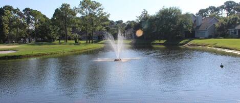 Views of the fountain and golf course.