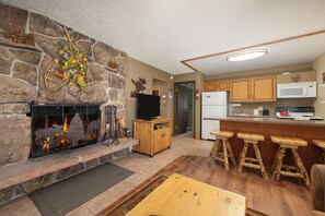 SWP Hi Country Haus 1515 living area