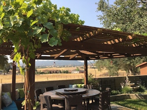 Gazebo with fire pit and 8 bar height chairs