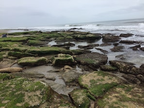 Coquina rock outcrop and tide pools...right outside our condos