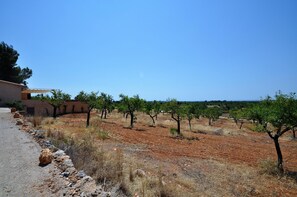 Parco della struttura