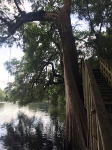 Fall in love with Autumn on the Suwannee River