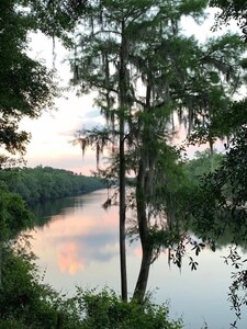Fall in love with Autumn on the Suwannee River