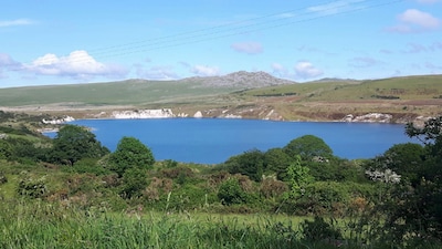 Impresionantes vistas ininterrumpidas de páramo sobre el lago y Rough Tor