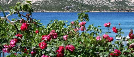 Spiaggia