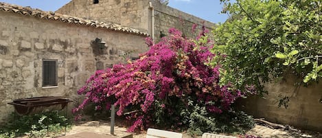 Εξωτερικός χώρος καταλύματος