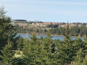 Oklassificerad bild, 4 av 32, knapp