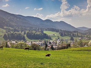 Aussicht