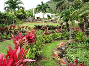 Main house atop the manicured yard, linger a bit by the freshwater lily pond....