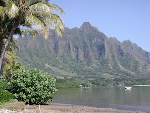 Backdrop: the dramatic Ko'olau Mountain range.
