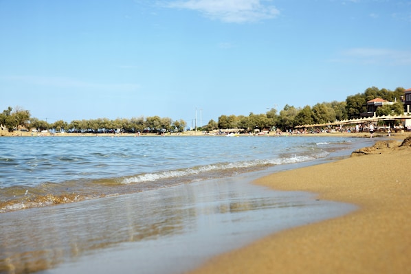 Playa