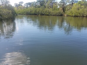 Waterway leading to the Gulf at the community boat dock 