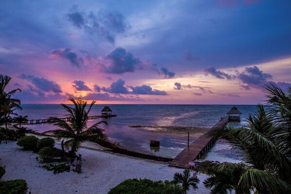 Indigo Belize 1B Beach Front View Dawn