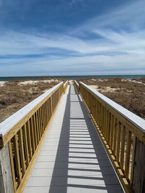 Beautiful Walkway to Paradise