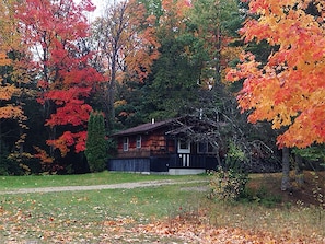 Beautiful Fall colors