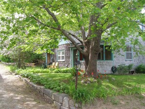 Our Cottage from Dewey Street