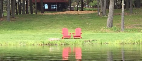 Picture perfect ! 
Watching and listening to the geese & cranes