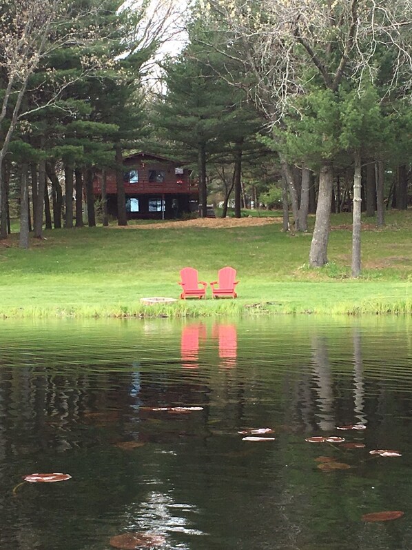 Picture perfect ! 
Watching and listening to the geese & cranes