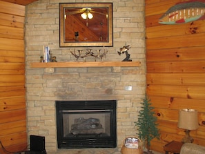 Gas Fireplace in the living room ~