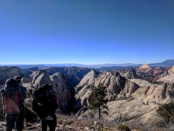 West Rim trail in Zion National Park, the back country. 