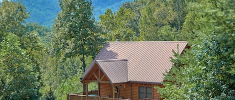 Tuckered Bears Cabin in Cedar Falls Resort